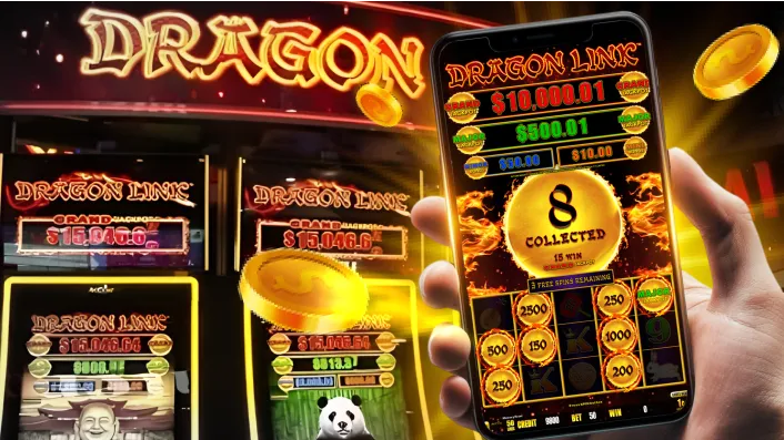 ss777 Bingo Community Features